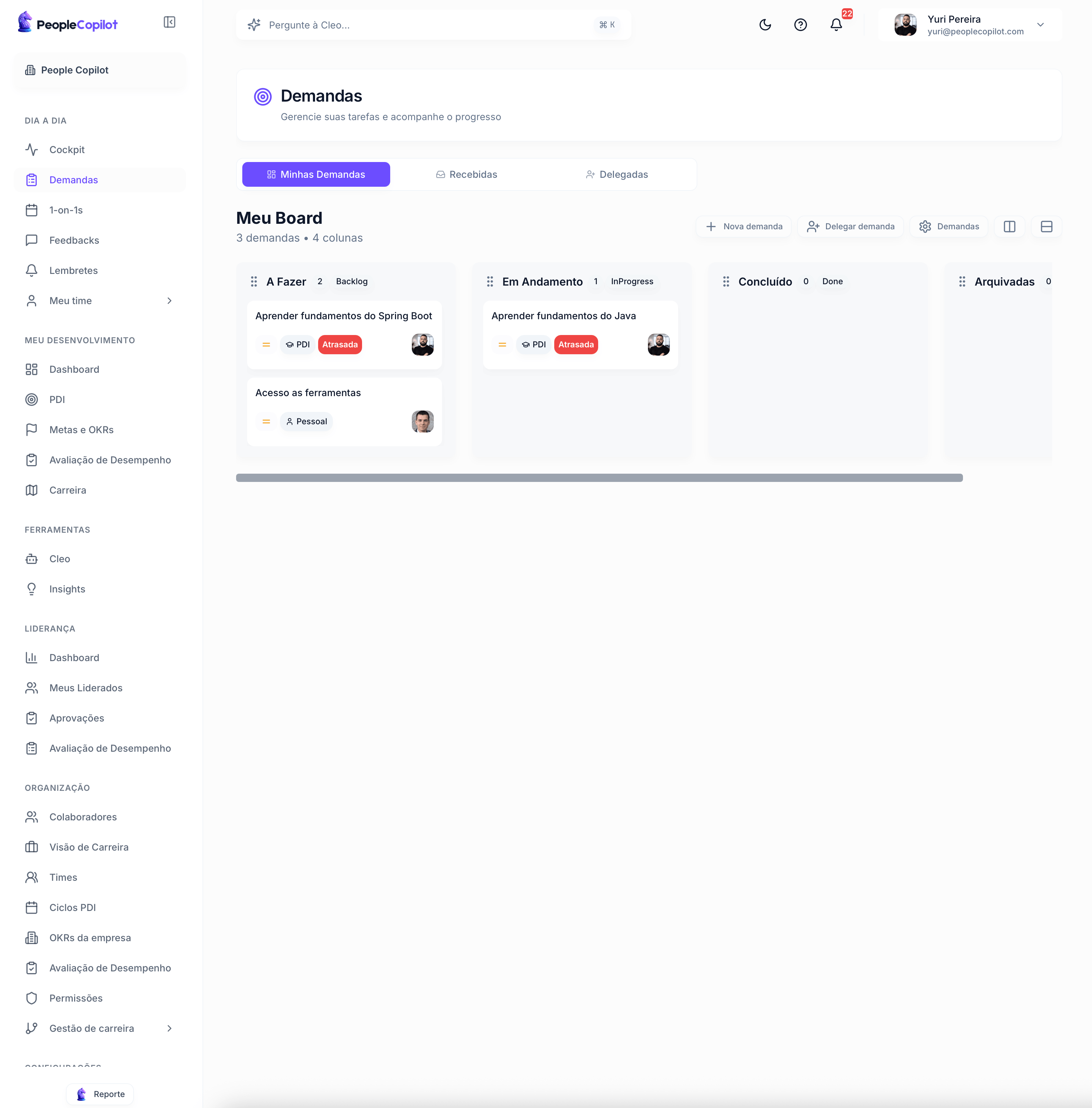 Interface Demandas — preview — 1 de 3