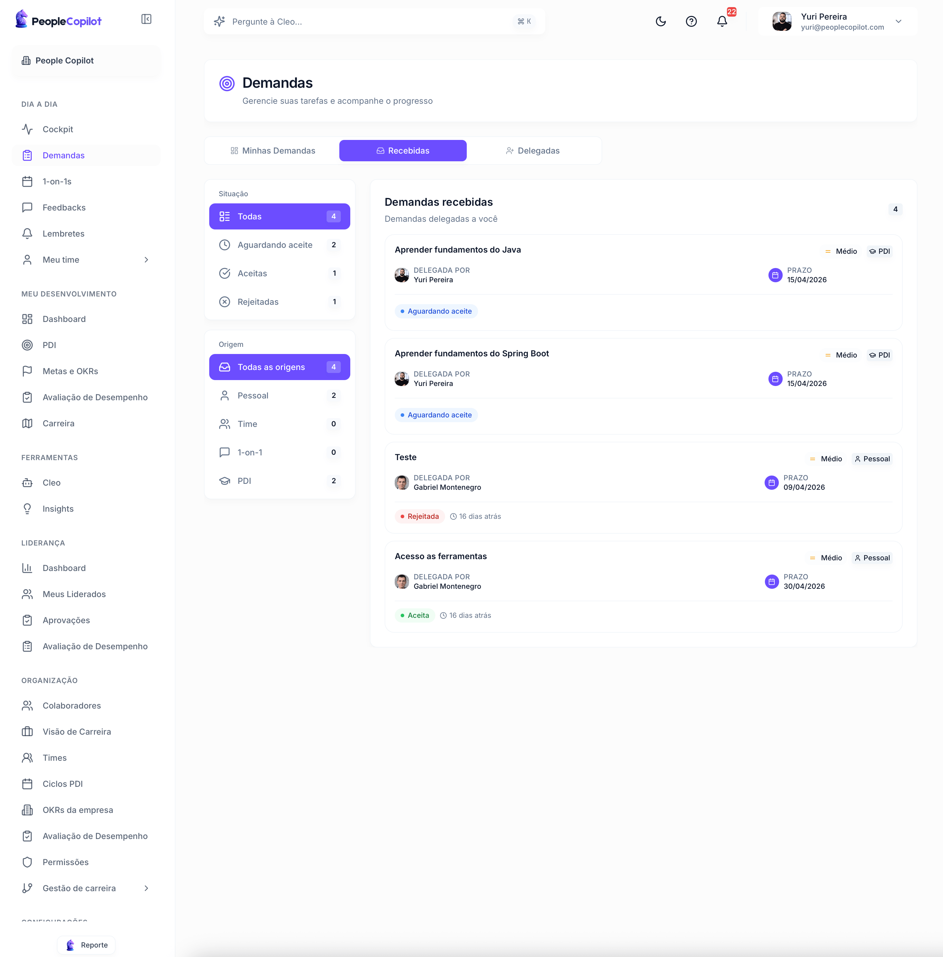 Interface Demandas — preview — 2 de 3