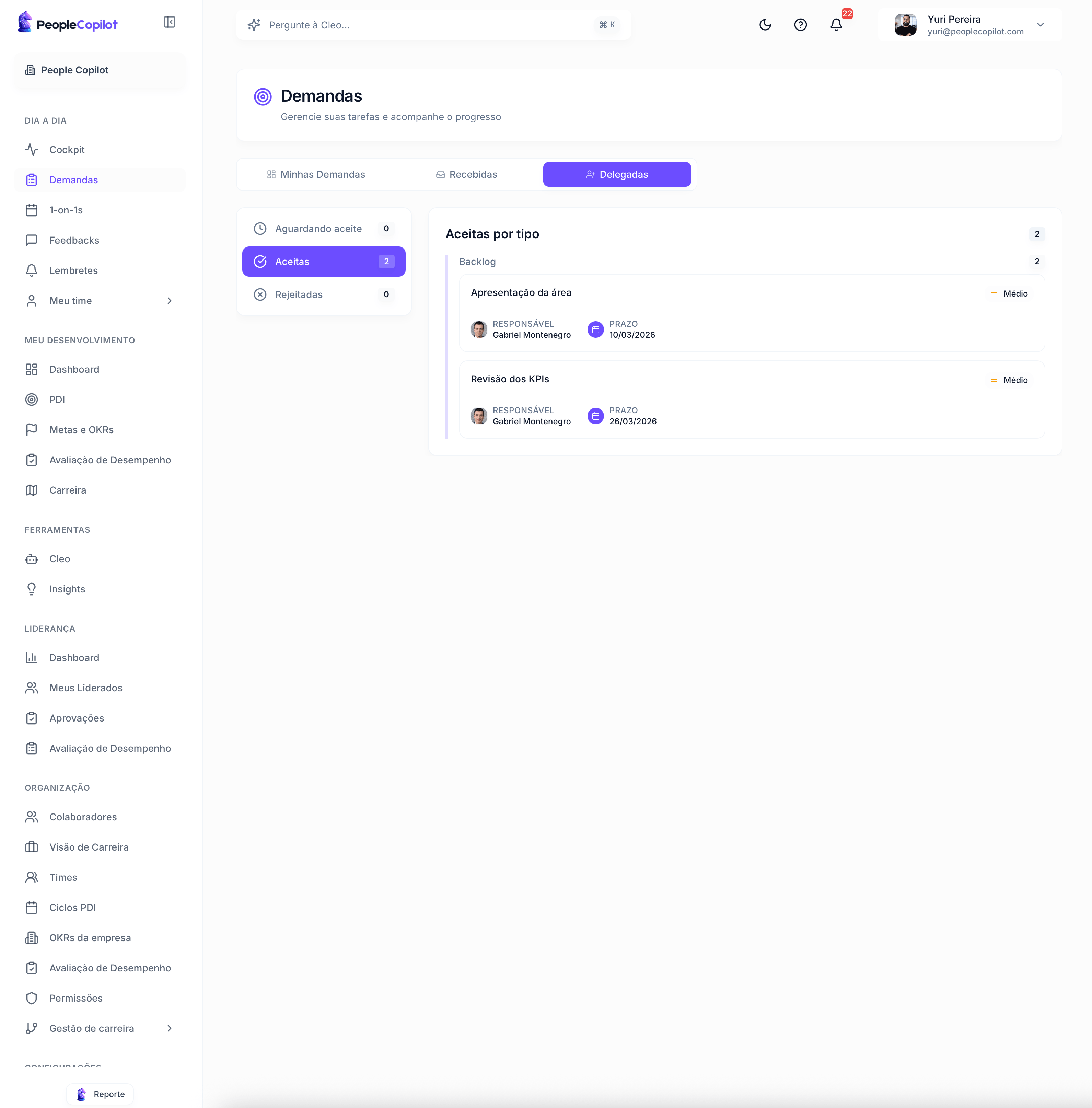 Interface Demandas — preview — 3 de 3