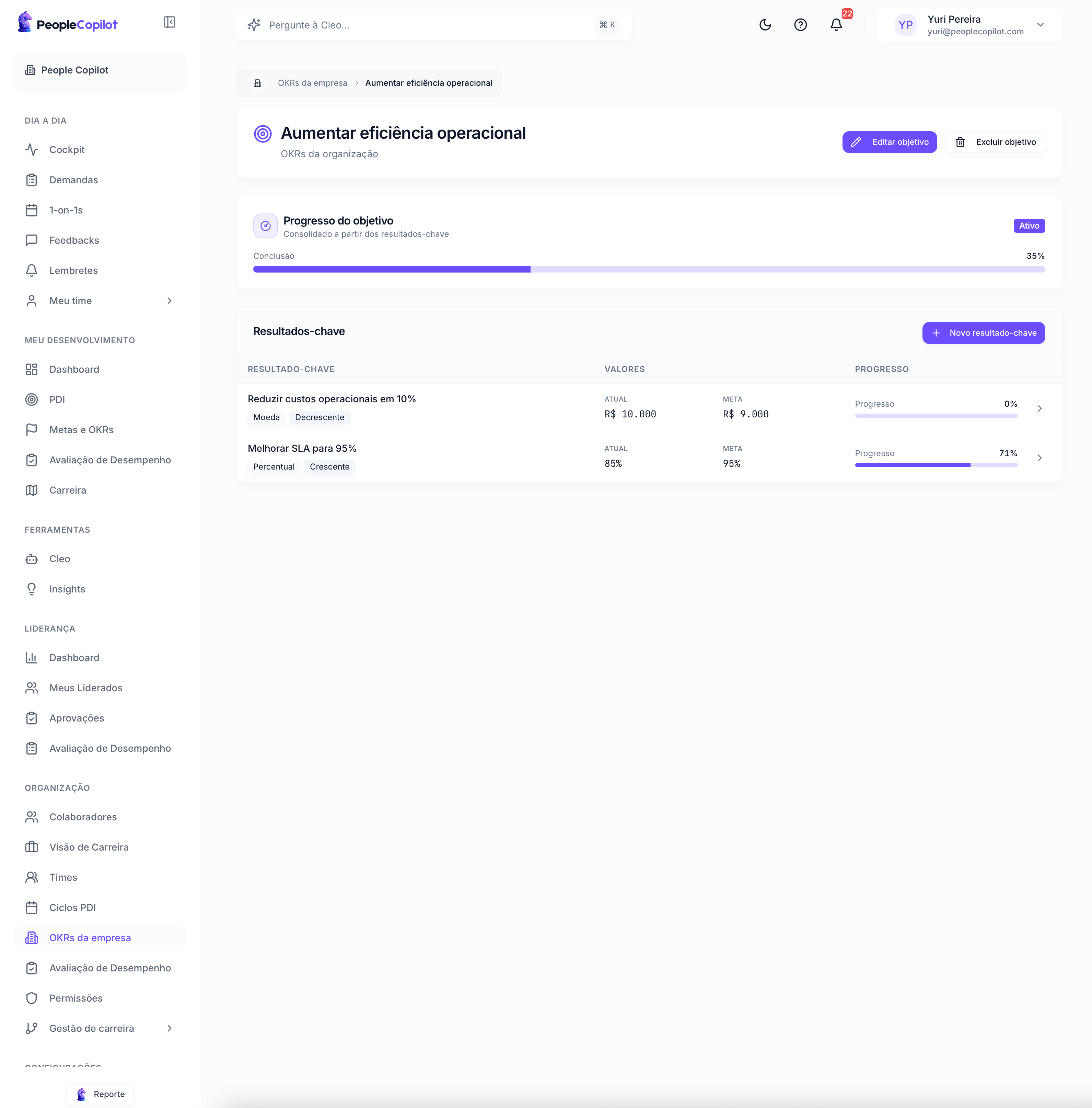 Interface Metas e OKRs — preview — 2 de 3